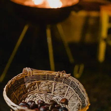 White Mountains Nature Tatil Evi