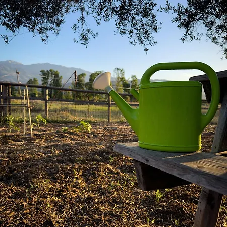 Tatil Evi White Mountains Nature