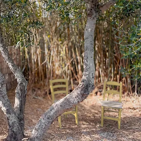 White Mountains Nature Tatil Evi Arménoi